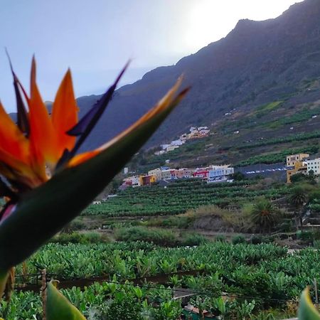 Casa Rural La Pitanga Hermigua Dış mekan fotoğraf