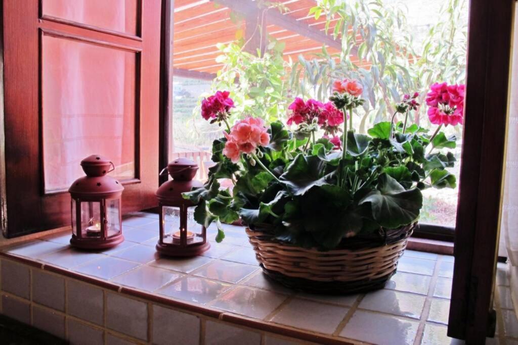 Casa Rural La Pitanga Hermigua Dış mekan fotoğraf