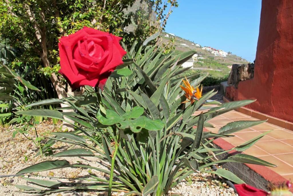 Casa Rural La Pitanga Hermigua Dış mekan fotoğraf